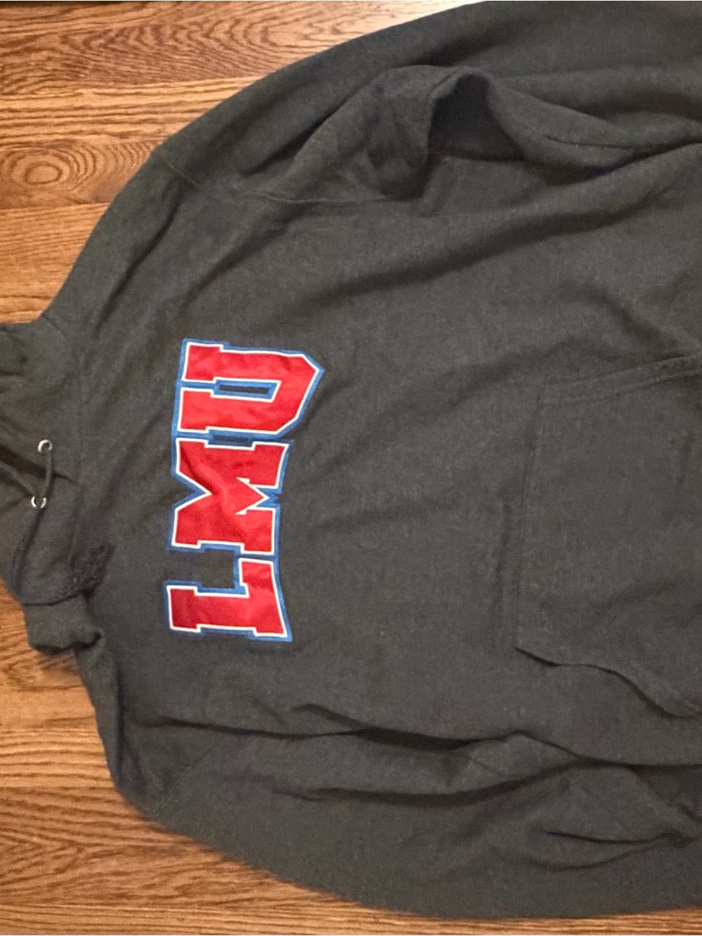 Champion Dark Gray Hoodie with Red and Blue Lettering